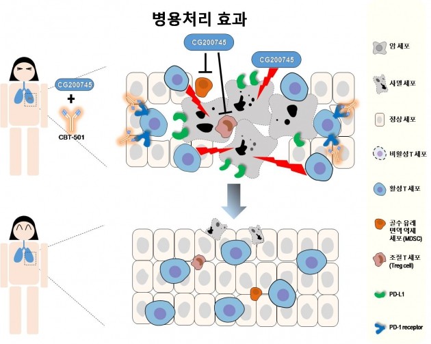 크리스탈지노믹스, 美 CBT파마와 병용 항암요법 개발 추진