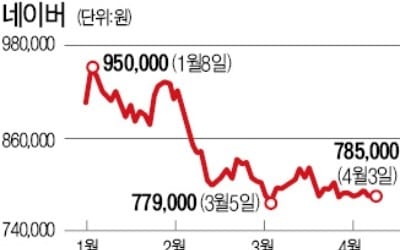 인터넷기업 AI투자 '藥일까 毒일까'