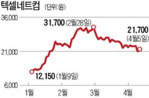 자회사 실적 우려에 '강성 금감원장'까지… 텍셀네트컴 내우외환