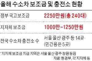 넥쏘 계약자 900여명 구입 포기할 판