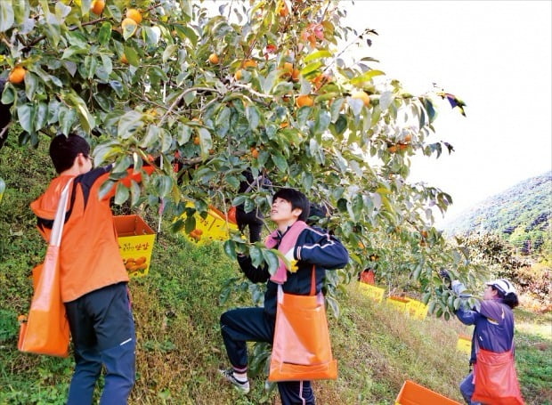 [2019학년도 대입전략] "고교 봉사활동은 시간 자체보다 의미·느낀 점이 더 중요"