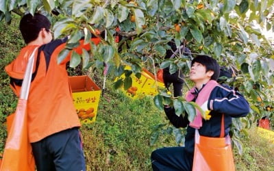  "고교 봉사활동은 시간 자체보다 의미·느낀 점이 더 중요"