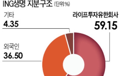 신한금융, ING생명 인수 추진