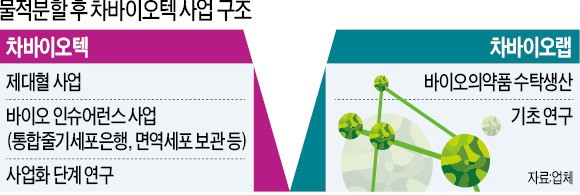 차바이오텍, 저수익 사업 떼어낸다