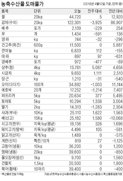 [농수산물 시세] 상추값 천정부지… 1주 새 60% 급등