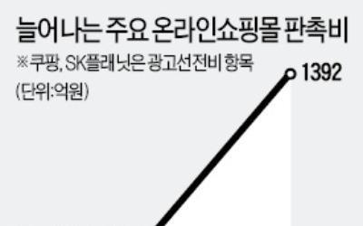 덩치 키우기 싸움에 이익 뒷전… 온라인 쇼핑몰 '출혈경쟁' 심화