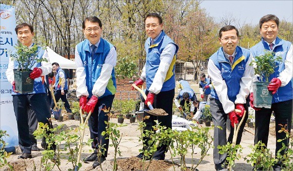 나무 심는 조용병 신한금융 회장