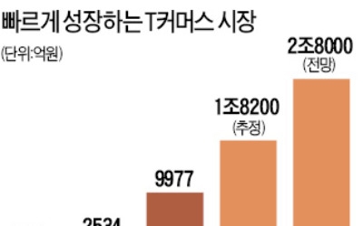 SK스토아 "T커머스 거래액 2兆 달성할 것"