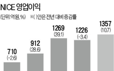 기관 이어 개미도 '사자' … NICE '고공행진'하는 까닭