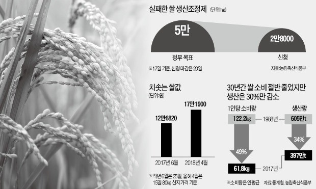 쌀농사 줄이라며 쌀값은 올리고… 정부가 실패 자초한 '쌀 생산조정제'
