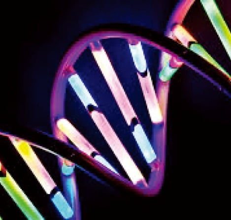 DNA 이중나선 구조 