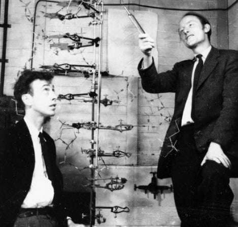 제임스 왓슨(오른쪽)과 프랜시스 크릭 