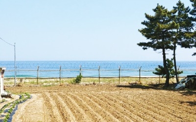 "민통선 인근 땅 봐달라"… 고성·파주 투자자 몰려 한 달 새 거래량 2배