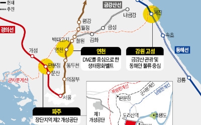 파주 '제2 개성공단' 연천 '생태벨트' 고성 '금강산관광' 통일경제특구 각축전