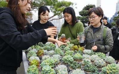 서울로 7017 식목 주간