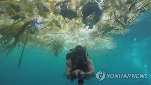 플라스틱 먹는 변종효소 발견… "환경오염 획기적 해결 기대"