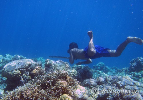 '바다 유목민' 바자우族 잠수 비법은 DNA였다… 진화의 결과