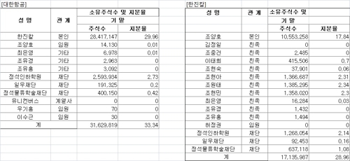 조 회장 일가 '쥐꼬리'지분으로 대한항공 '좌지우지'