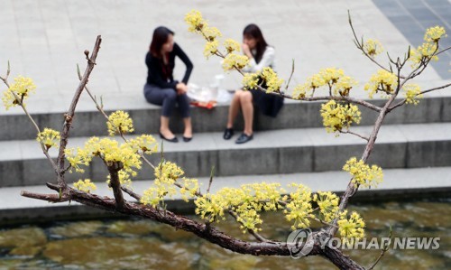 '사계절 다 겪은' 4월초 요란한 날씨… 황사·강풍까지