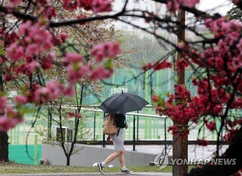 [날씨] 식목일 전국 '비', 기온 내려가 쌀쌀