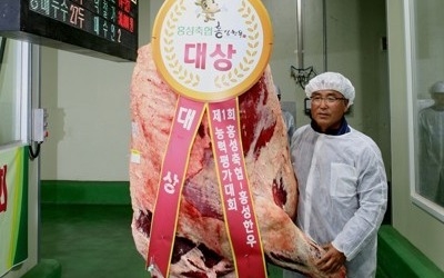 "지난해 돼지·닭·계란 등 축산물 가격 올라…쇠고기만 하락"