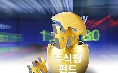 '쌀 때 사자'… 국내 주식형펀드로 올해 3조원 몰려