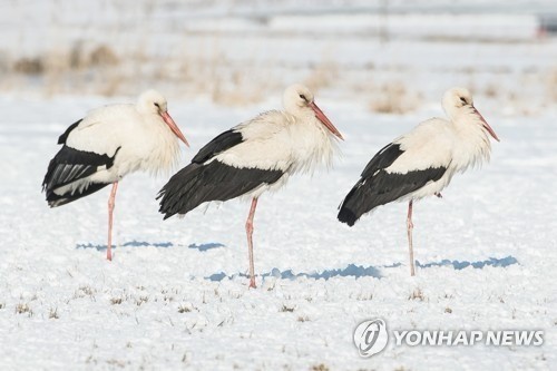 사진=연합뉴스