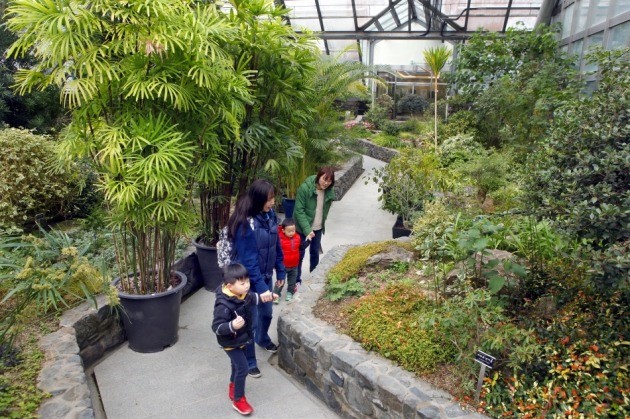 아이들이 좋아하는 난대식물온실 사진=한국관광공사