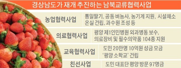 평양서 '통일딸기 재배' 재추진하는 경상남도