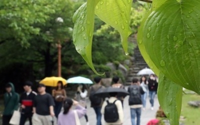 봄비에 영화관·쇼핑몰 '북적'… 유명산·관광지 '한산'