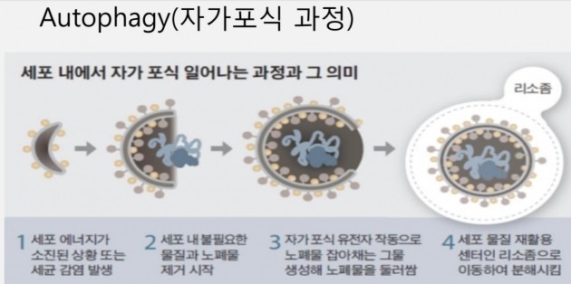 메디헬프라인, 파킨슨병 치료제 정부지원과제 선정