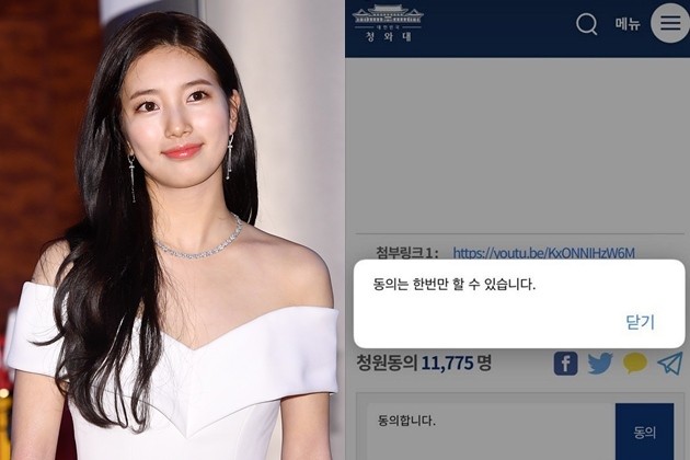 수지 효과…양예원·이소윤 사건 청와대 국민청원 동의 후 참가자 ↑ 