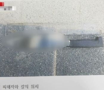 아파트 식칼 추락