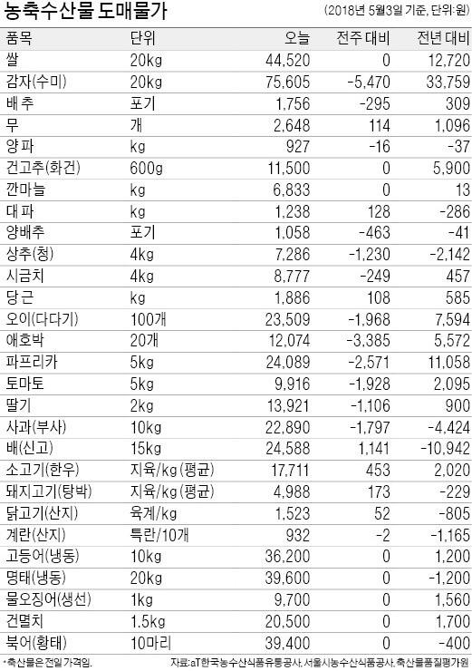 [농수산물 시세] "양파 값 더 떨어진다"… 재배면적 43년來 최대