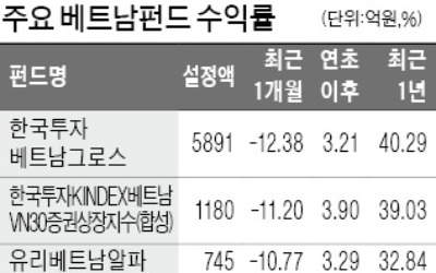 잘나가던 베트남펀드에 무슨 일이… 한 달 새 12.6% 손실 '급브레이크'