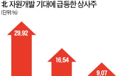 이번엔 종합상사株 '들썩'… 경협株 '2차랠리' 시작되나