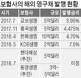 "영구채 조달 자금, 원화로 환전 말라니"