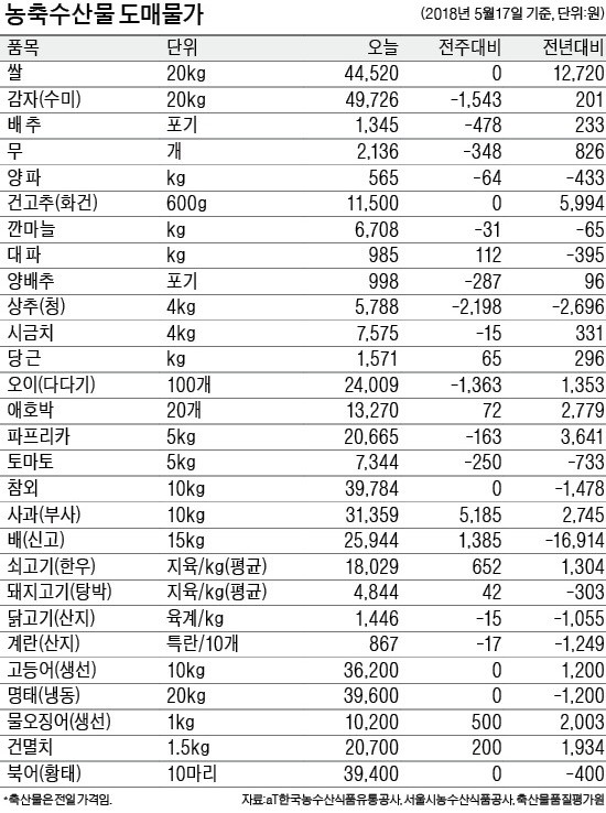 [농수산물 시세] '金징어' 시대