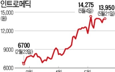 캡슐내시경 만들던 인트로메딕, 풍력 부품社 현진소재 인수한 까닭