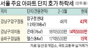 급매물 쌓이는 강남… 집값 2억~3억 '급락'