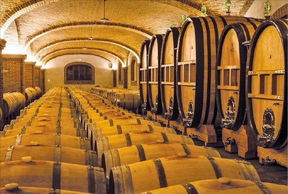 현대적 설비를 갖춘 파올로 스카비노 와인 저장고. 