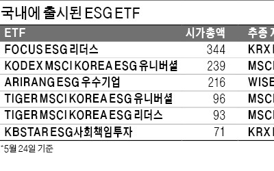 ESG 펀드, '갑질 논란' 대한항공에 투자 줄였다