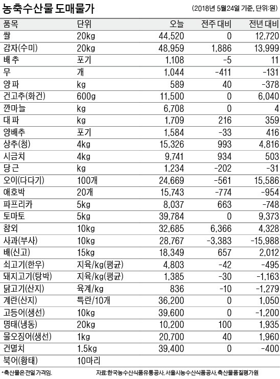 [농수산물 시세] 시금치·상추값 오름세… 작황 부진 탓 출하량 감소