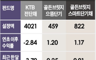 채권형펀드가 하루에 3.8% 손실… 中 CERCG 회사채 부도에 단기채 펀드 '충격'