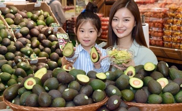 롯데마트는 5월24일부터 30일까지 전 점포에서 미국산 아보카도를 개당 1,200원에 판매한다./ 김영우 온라인 카지노 사이트 youngwoo@hankyung.com 20280522....