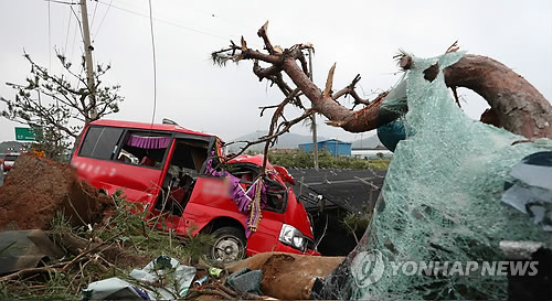 영암 미니버스 추락사고 사상자 자동차보험 보상받는다