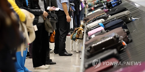 "'땅콩택배' 직접 날랐다"… 대한항공 전현직 직원 증언