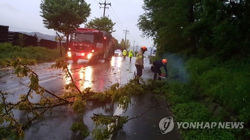 호우주의보 해제… 밤부터 다시 많은 비 '주의'