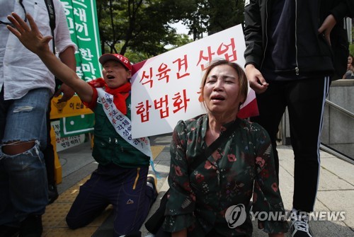 세상에 먹을개는 없다?…부쩍 느는 반려견, 사라지는 보신탕