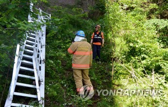 고속도로 교량 보수중 발판 30ｍ아래 추락… 근로자 4명 숨져